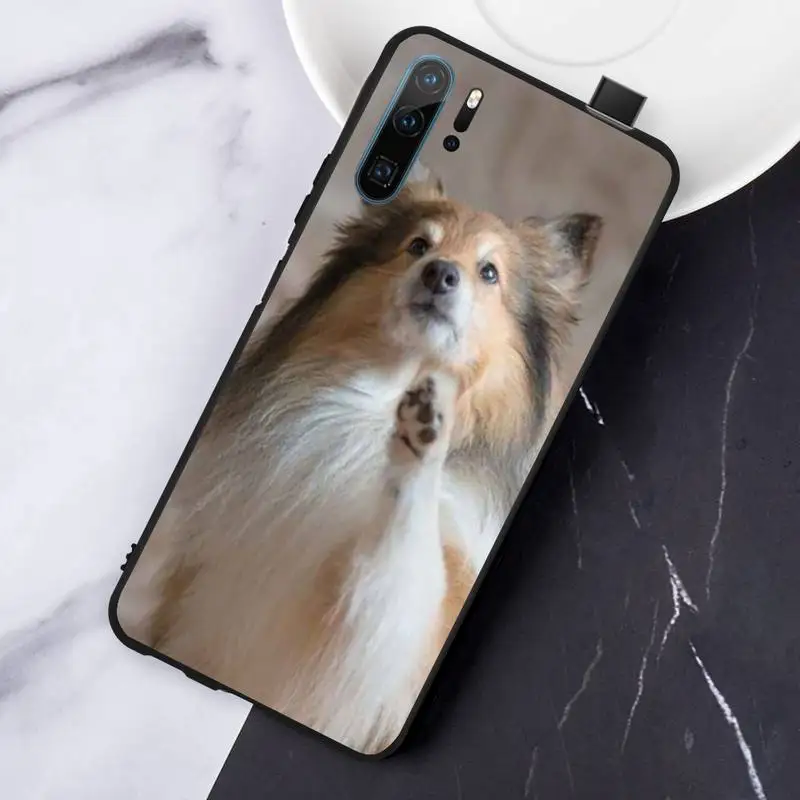 

Funny Animal Sheltie dog Phone Case For Huawei honor Mate P 10 20 30 40 Pro 10i 9 10 20 8 x Lite