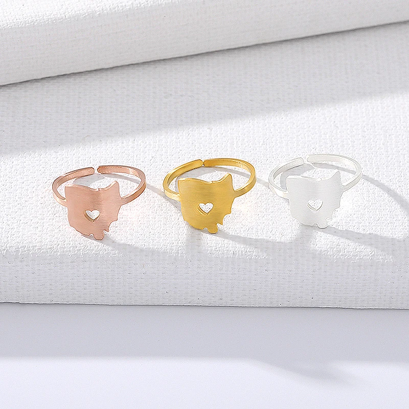 California кольцо с изображением карты Нигерия Кольцо из нержавеющей стали