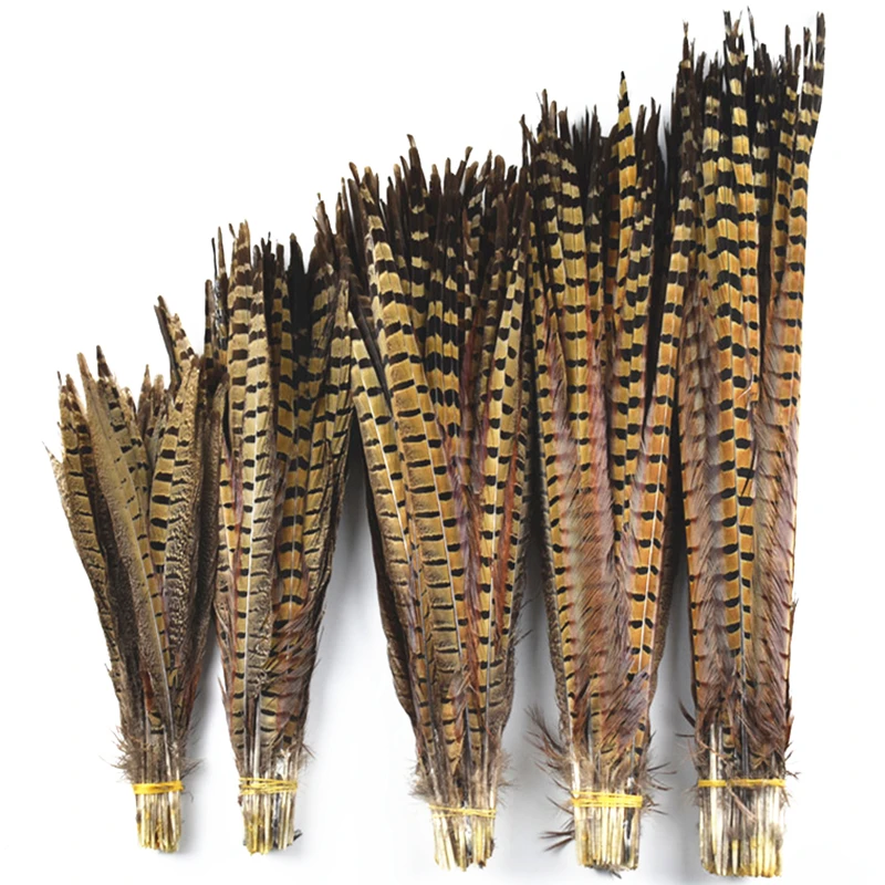 

Natural Ringneck Pheasant Tail Feathers for Crafts 15-65cm/6-26" Wedding Feathers Decoration Hair Pheasant Feather Decor Plumas