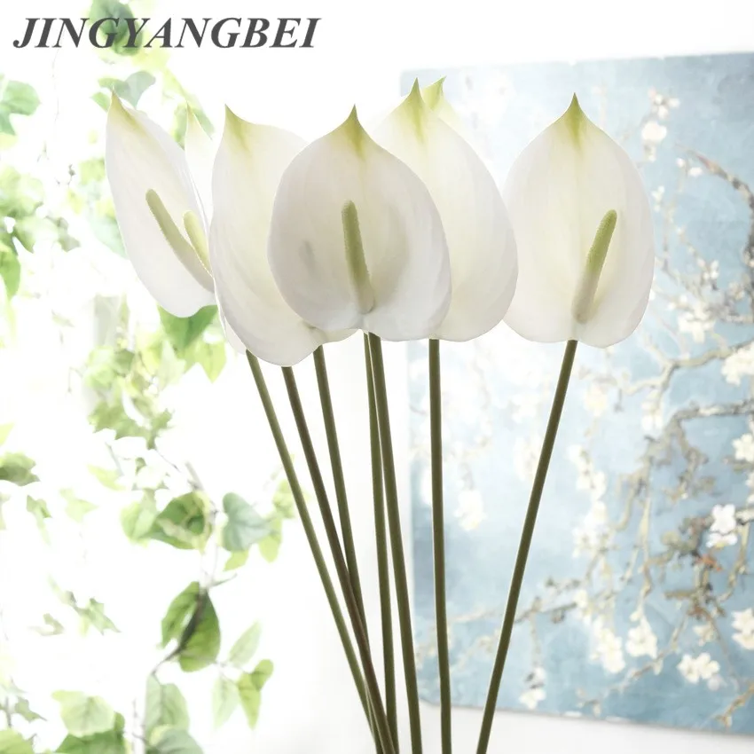 Высокое качество антуриевые цветы комнатные балконные растения офисные