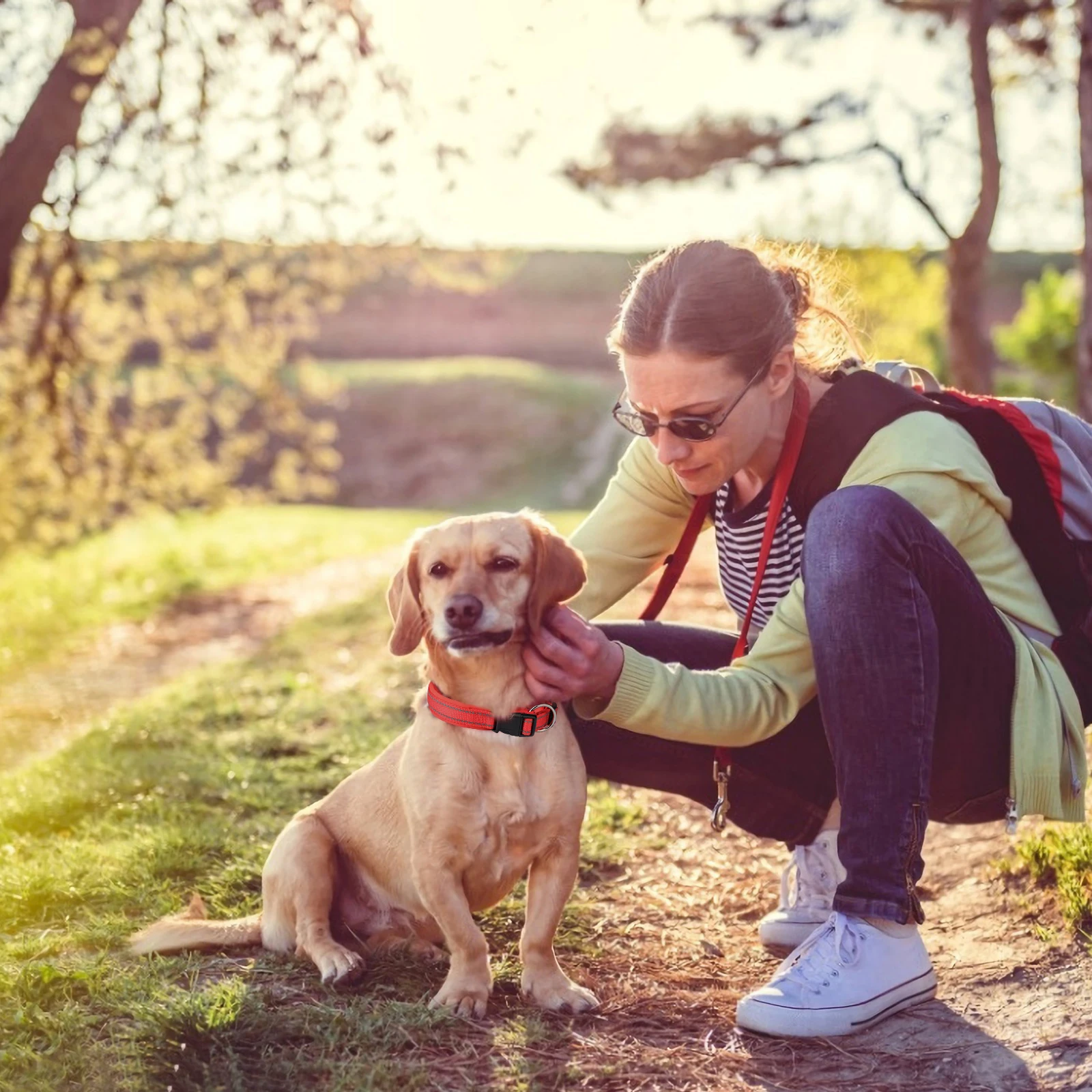 Ошейник для собак MASBRILL регулируемый поводок среднего и большого размера