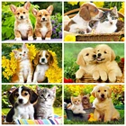 EverShine алмазов картина Собака Вышивка крестом, картинка с животными для вышивки со стразами Стразы мозаичного искусства комплекты, украшение для дома