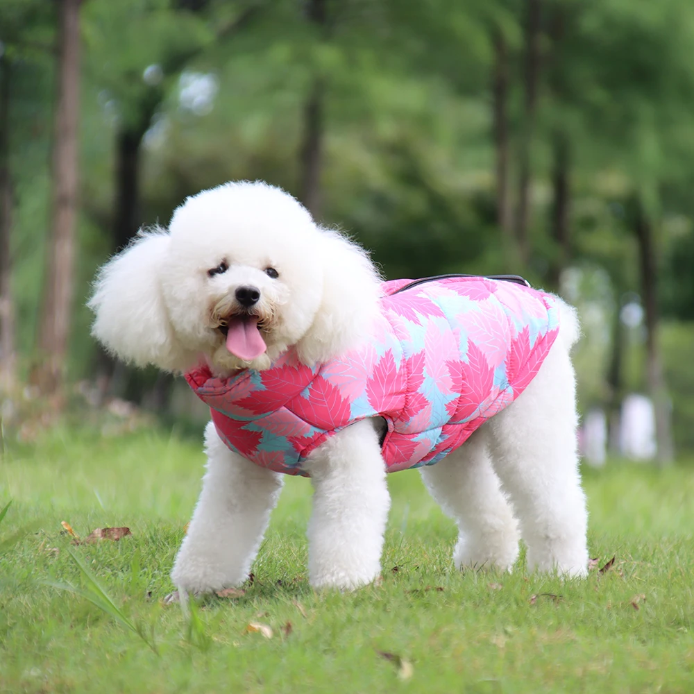 Зимняя женская водонепроницаемая одежда для больших собак Shih Tzu жилет пальто