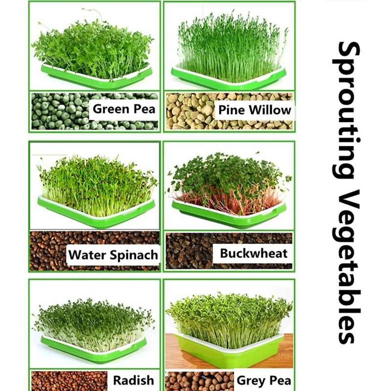 Поднос для рассады семян пластиковый горшок прорастания растений подносы