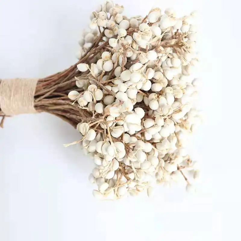

Natural Real White Fruits Bunch,Eternal Dried Display Flower For Wedding Nordic Home Decoration Table Accessories Dry Flowers