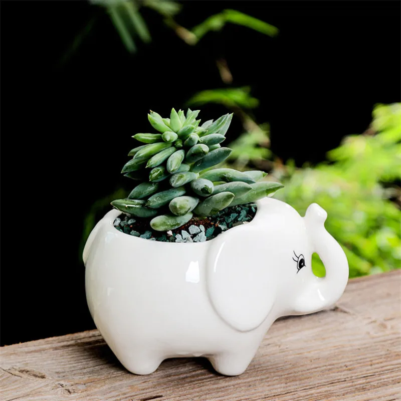 Европейский керамический горшок для растений в виде кактуса и бегемота