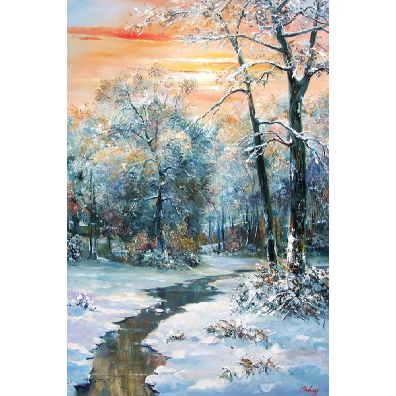 

DIY diamond embroidery Snow scene pattern 5d diamond painting cross stitch rhinestone painting mosaic fashion home decoration