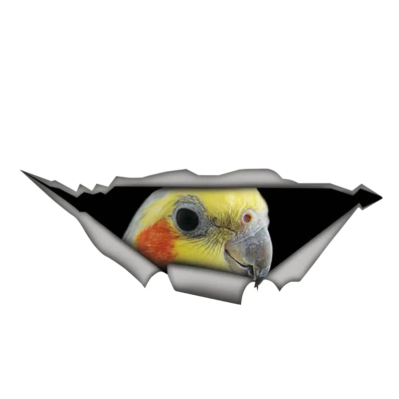 

13cm X 5cm Cockatiel Parrot Decal Sticker Torn Metal Decal Wild Animal Car Stickers Window Bumper 3D Car Styling