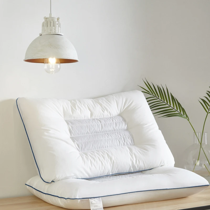 

New Pillows Semen Cassiae Buckwheat Lavender Polyester Magnetic Filling Therapy Sleeping Cushion Neck Healthcare Home Textile