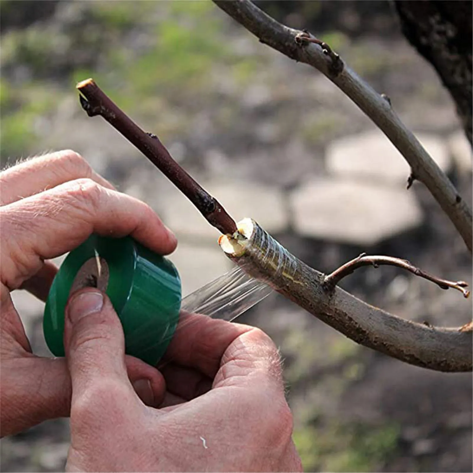 

2pcs/set 5/4/3cm* 100m Roll Tape Grafting Tape Stretchable Plant Grafting Membrane ForSapling Pruning Strecth Graft Budding Tool