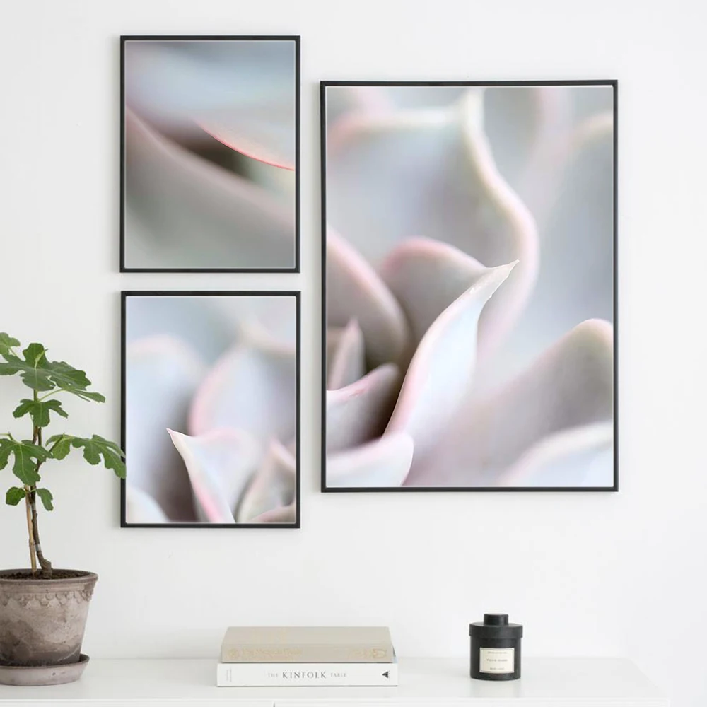 Куадрос алоэ ботанический листья растений настенный художественный холст