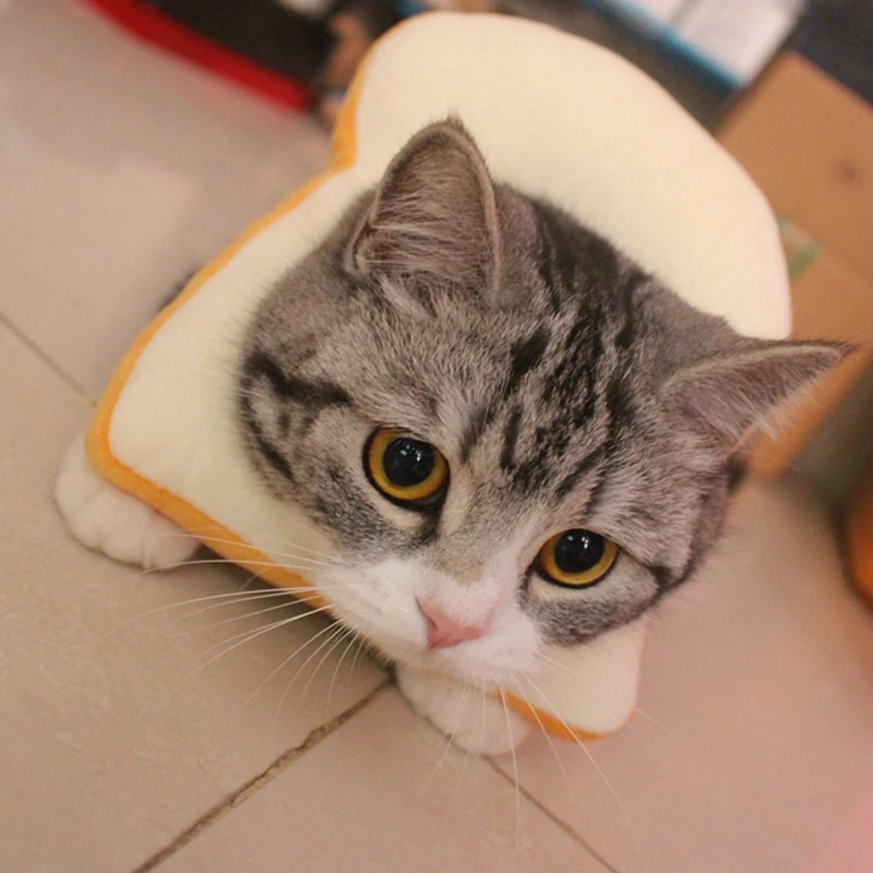 Ошейник для домашних животных Elizabeth Cute Bread в форме авокадо мягкий хлопок