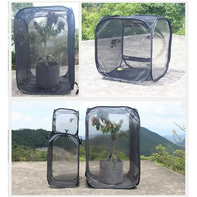 

Foldable Insect Cage Habitat Mesh Transparent Surface Housing Enclosure Insect Boxes Portable Zipper Insect Boxes