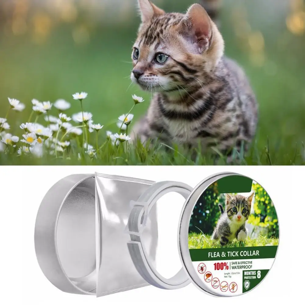 

Hot Sales Necklace Adjustable Protective Essential Oil Anti Flea Tick Pet Collar for Pet