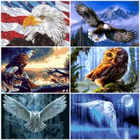 diy paints by numbers owl eagle animals 50x40cm art picture set coloring decorative canvas wall artcraft oil painting by numbers