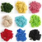 Искусственное растение 20 г, мох для вечной жизниукрашение для сада, стен, DIY, цветочный материал, мини-дерево для сада