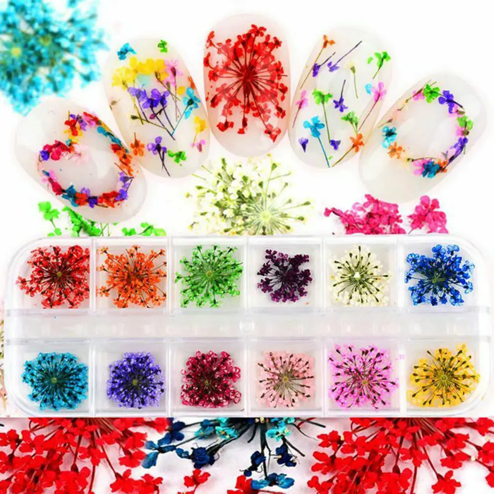 

24pcs Real Pressed Flower Lace Dried Flower Nail Art Resin Jewelry Making Nail Art Set Decorative Manicure Tools