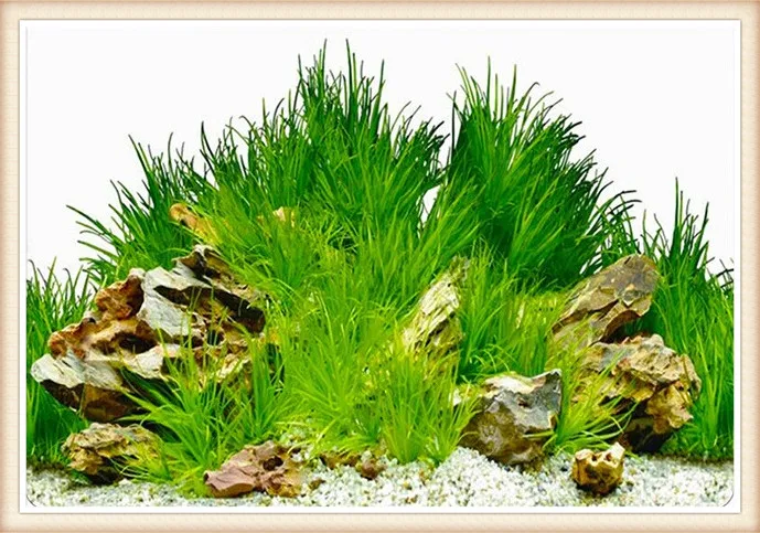 Аквариум наклейка с пейзажем плакат Аквариум 3D фон картина Наклейка Двусторонняя океан море фон растений аквариум Декор