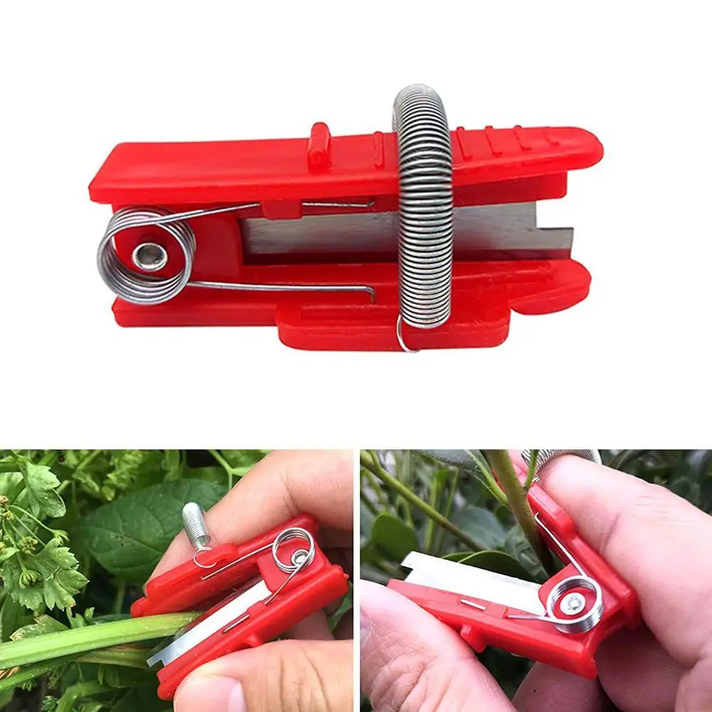 

Vegetable Thump Knife Separator Vegetable Fruit Harvesting Tool For Farm Orchard Picking R4N3