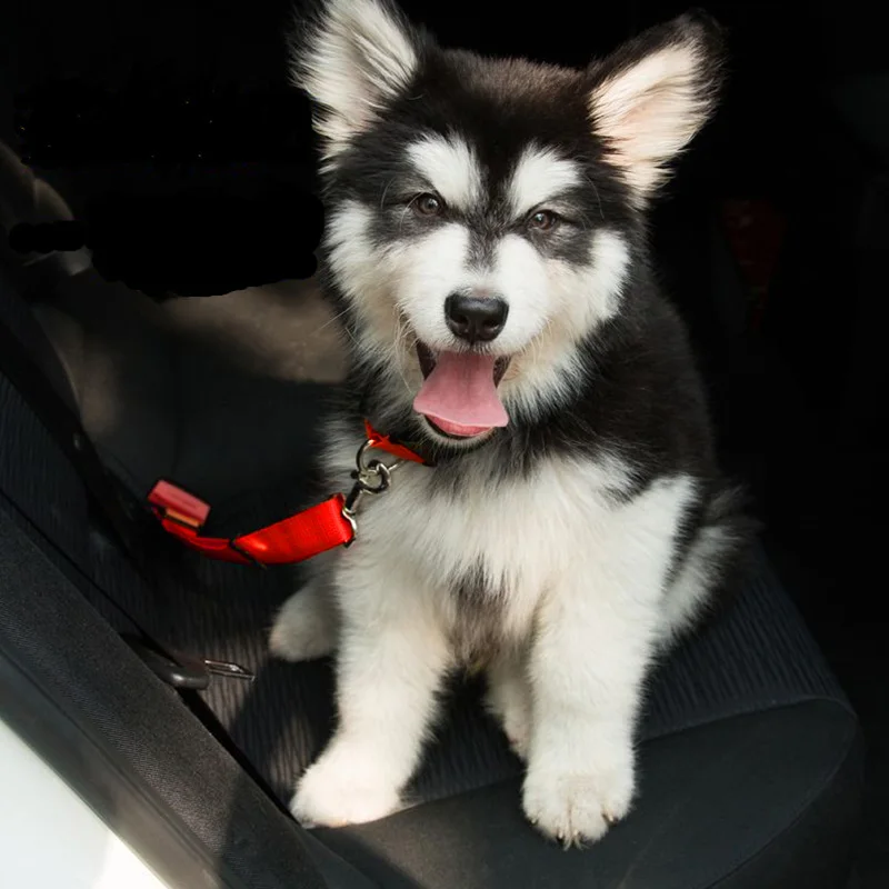 

Pet Adjustable Car Seat Belt Vehicle Safety Belt Leash For Small Medium Dogs Cats Travel Traction Collar Harness Puppy Lead Clip