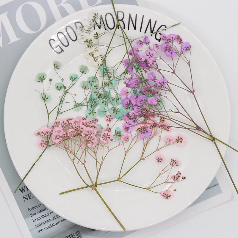 Натуральные сушеные цветы тиснение Botany образец Diy клей ручной оболочки Ароматерапия Свеча фоторамка активность материал наука - Цвет: of Big Full Dyeing