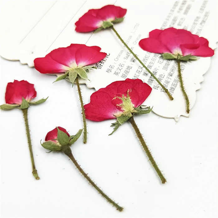 100pcs Nature Pressed Roses with stem Eternal real flowers for DIY Wedding invitations Bookmark Gift Card phone shell decor | Дом и сад