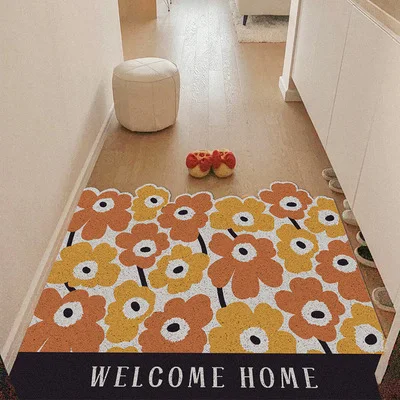 

Simple doormat; Entrance carpet and doormat; Wear resistant foot mat for household outdoor gate