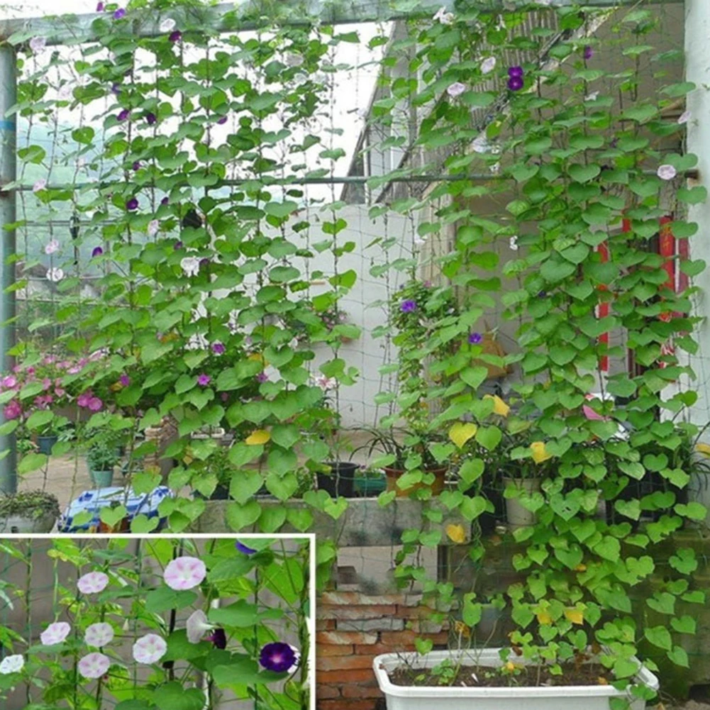 Подъемная сетка для фруктов овощей цветов винограда огурцов | Дом и сад