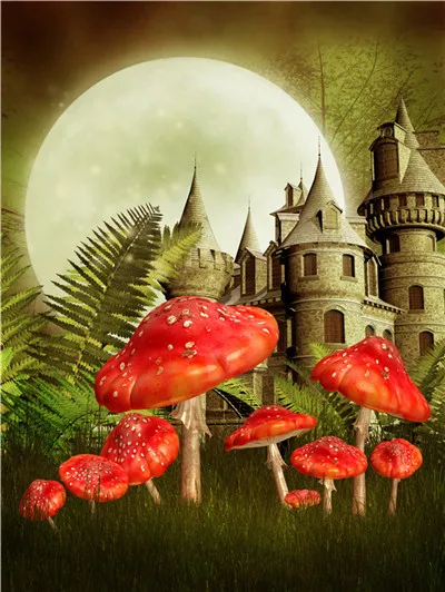 

Vinyl Custom Fairy Tale Photography Backdrops Props Children and baby theme Photo Studio Background 20702-31