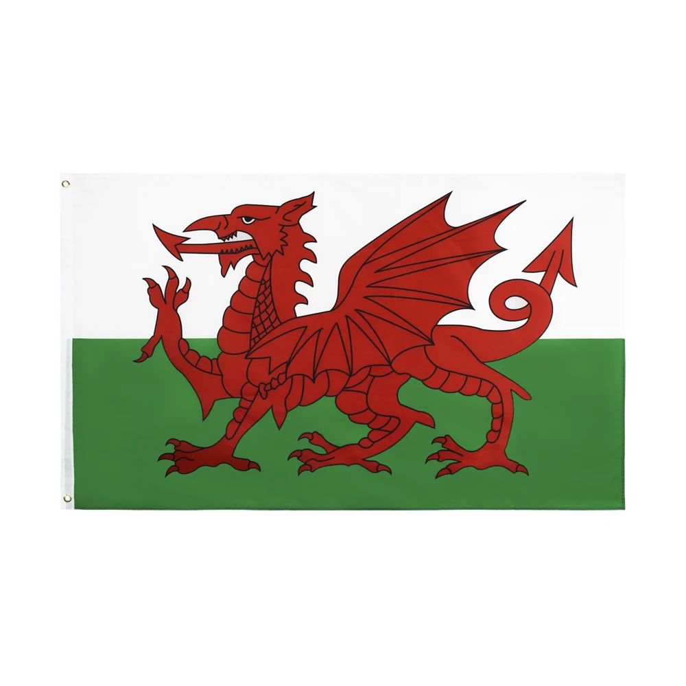 

ELECTION 90x150cm120x180cm 150x240cm Red Dragon Wales Cymru Flag