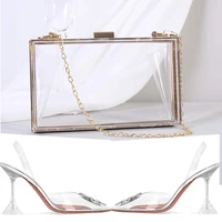hot new clear acrylic womens bag and transparent pointy heels fashion diamond shoes pies and birthday gifts