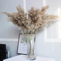 50pcs natural dried reed flowers small pampas grass phragmites artificial plants party christmas home decoration accessories