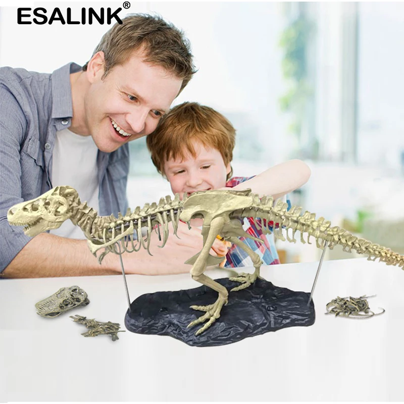 ESALINK динозавр Юрского периода ископаемый образец Сращивание сборка модель