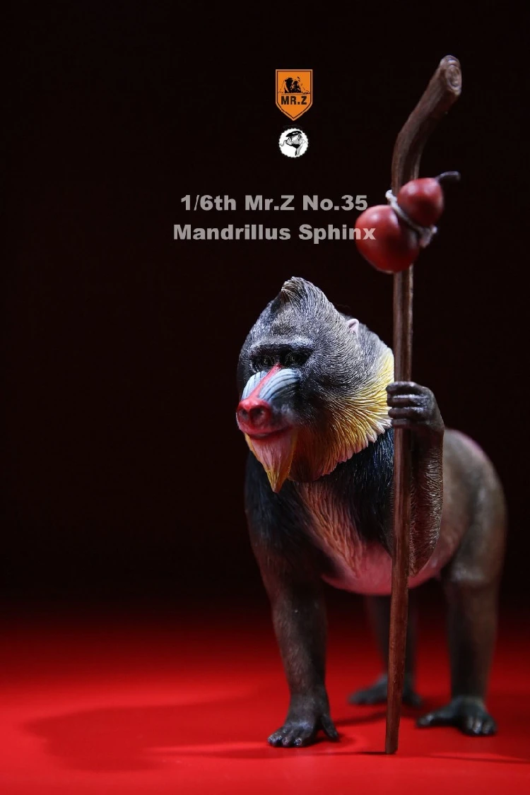 

Mr.Z MRZ035 animal model 1/ 6 ratio Mandrillus Sphinx & Lion Cub set Resin Material for 12 inches Action Figure Scence Acces