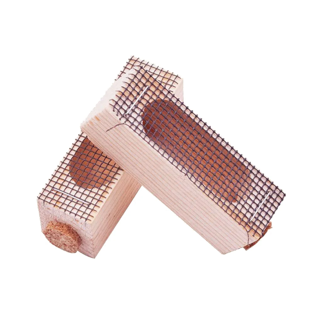 

5pcs Useful Queen Bee Cages Beekeeping Wooden Equipments Bee Cage Beekeeping Tools