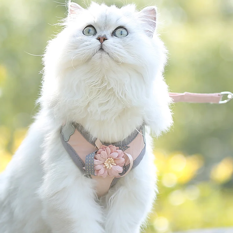 Милый кот котенок жгут собаки маленький розовый Кот веревка анти разрыв дома