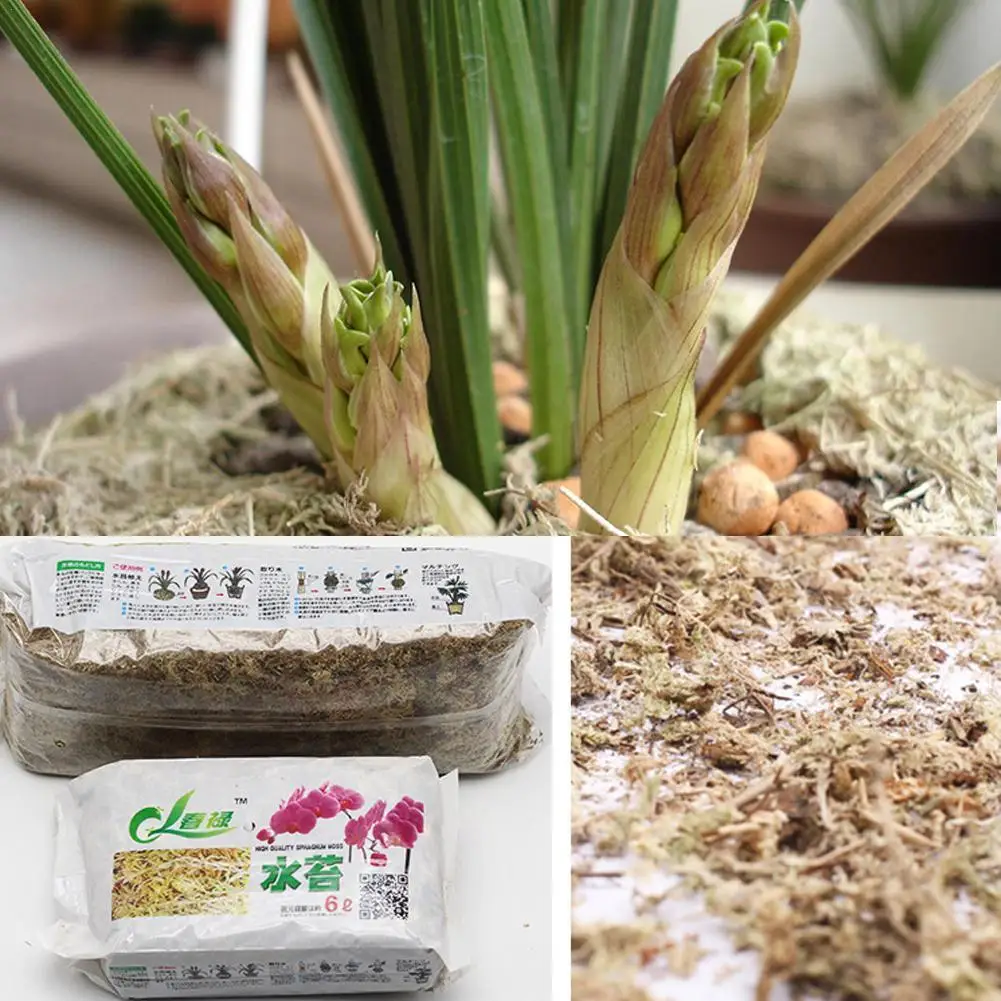 

Sphagnum Moss Garden Supplies Moisturizing Nutrition Orchid Organic Fertilizer 6L For Phalaenopsis V6B7