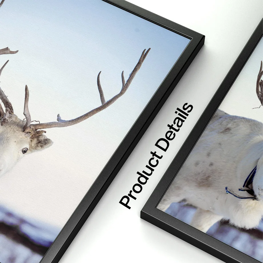 Зимний снег солнечный свет лес олень медведь кипарис скандинавские плакаты и