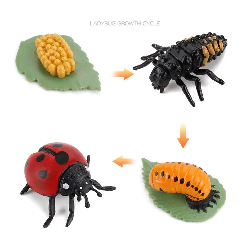

New Simulation Animals Insects Plant Growth Seed Cycle Model Figures Mini Figures Toys Science Education Toys For Baby Early