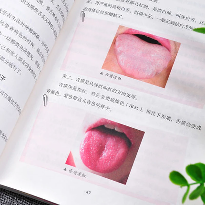 Графический язык диагностики лекарственных препаратов традиционной китайской