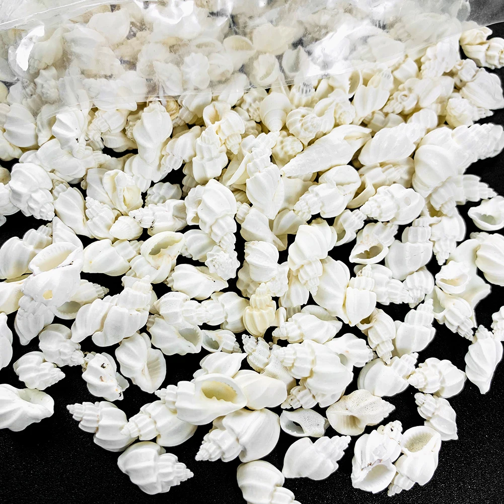 100 г натуральный белый раковины аквариумный аквариум пейзаж мини морские ракушки