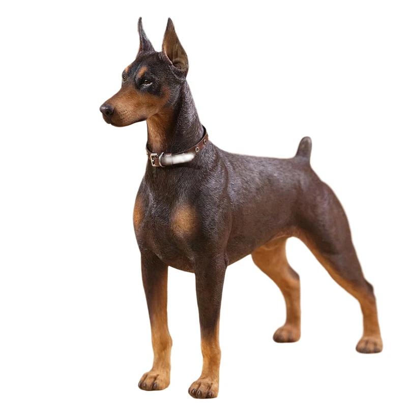 

MRZ creative Simulation 1 / 6 Doberman model office desktop decorations dog furnishings home luxury ornaments