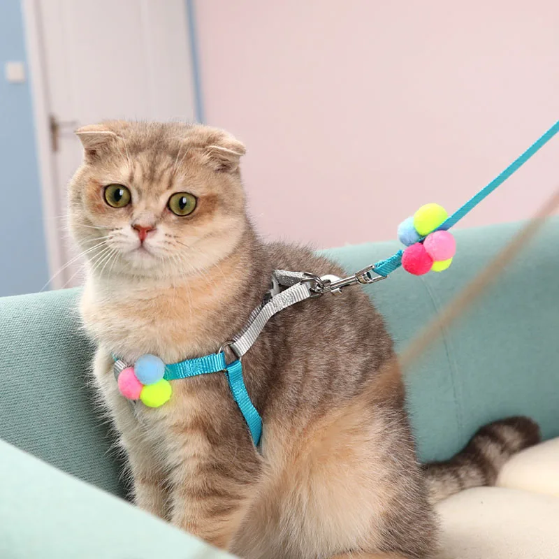 

Cat Collar Harness Leash Adjustable Nylon Pet Traction Cat Kitten Dog Halter Collar Cat Cats Products Pet Harness Belt