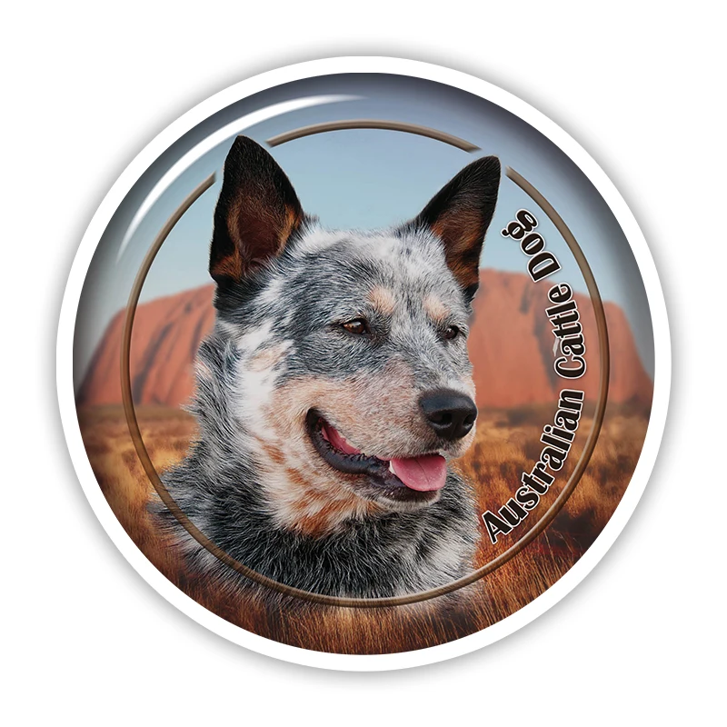 S40925 # различные размеры самоклеящиеся наклейки австралийский крупный рогатого