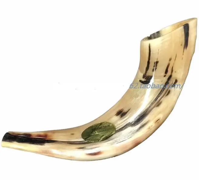 Израиль Shofar овчина иудаизм 32 см михаан Традиционный маркетинг