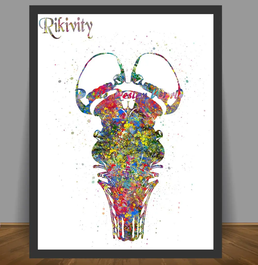 Rikivity человека анатомический плакат принты со стволом головного мозга холст