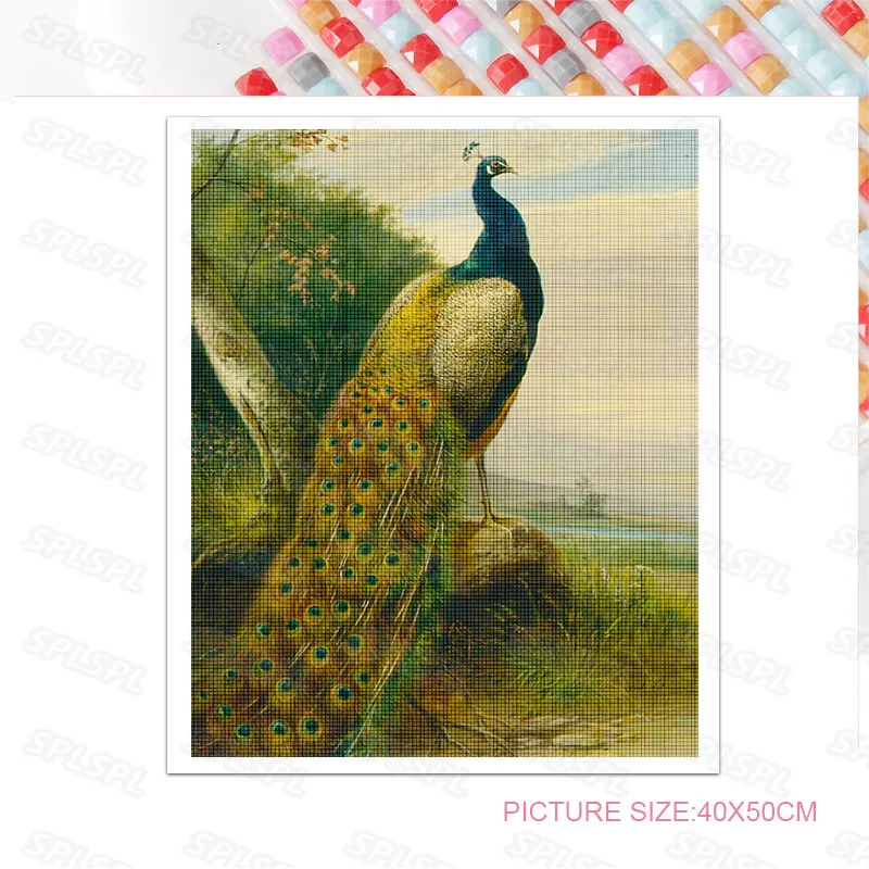 

Diy Diamond Painting Unique Beautiful Animals Proud Color Peacock Green Blue Yellow Peacock Oil Painting Personalized Poster
