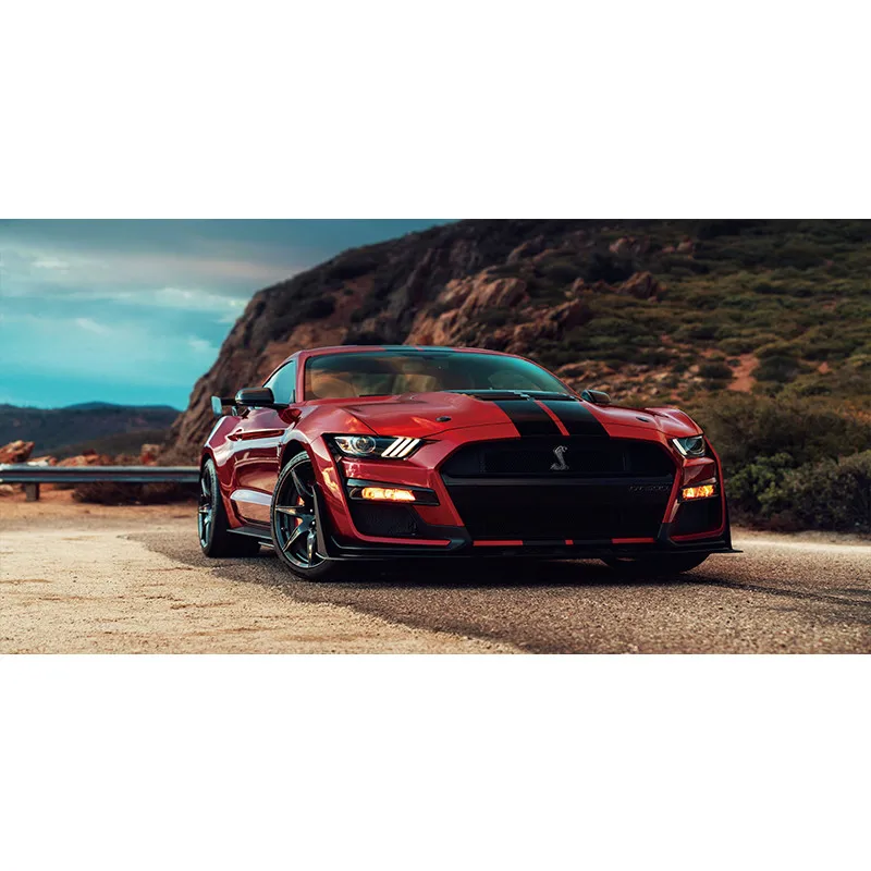 

Картина на холсте Ford Mustang Shelby GT500