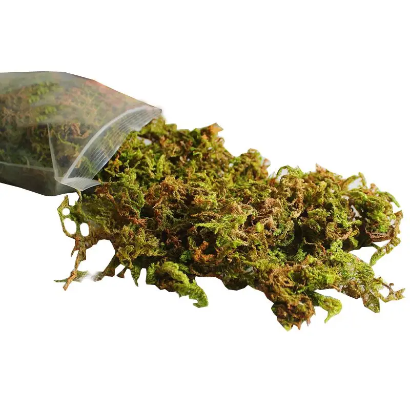 

Искусственный Зеленый мох, креативный Реалистичный искусственный зеленый мох, искусственное растение «сделай сам», бонсай, аксессуары для ...