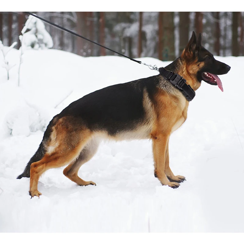 

Double Thickened Nylon Cool Dogs Collar 4 Color Wear Resisting Outdoor Adjustable Large and Midium Dogs Personality Pet Products